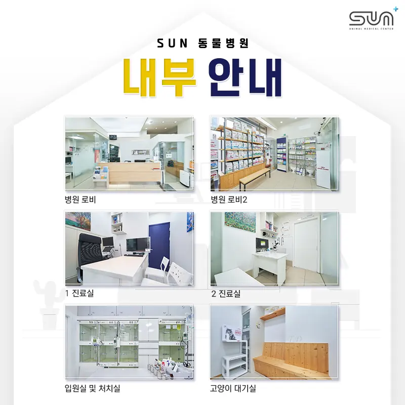 반월동동물병원, 13살 강아지 몸에서 혹이 만져져요.