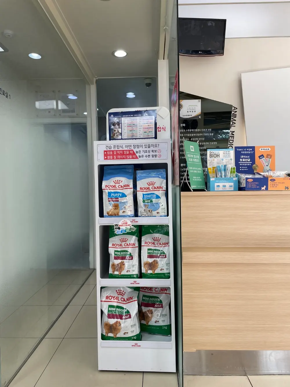 병점동물병원 고양이 중성화수술 시기와 필요성