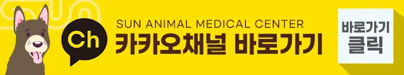 병점동물병원 고양이 중성화수술 시기와 필요성