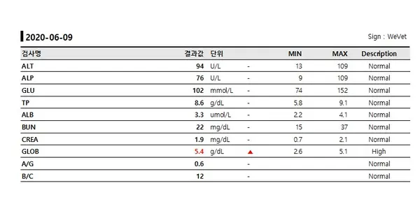 1살 고양이 여아 중성화 수술