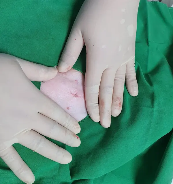 해당 이미지의 무단 배포 및 재사용을 금지합니다.