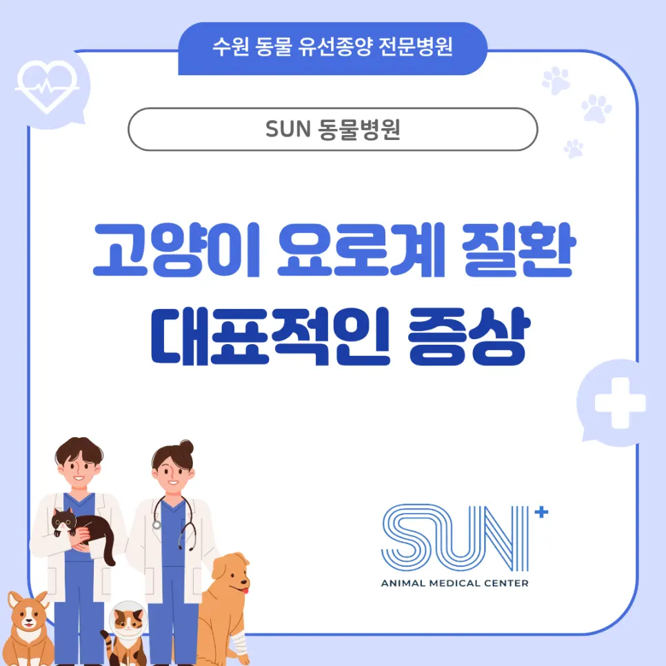 고양이 하부요로질환 지나치면 안 되는 이유