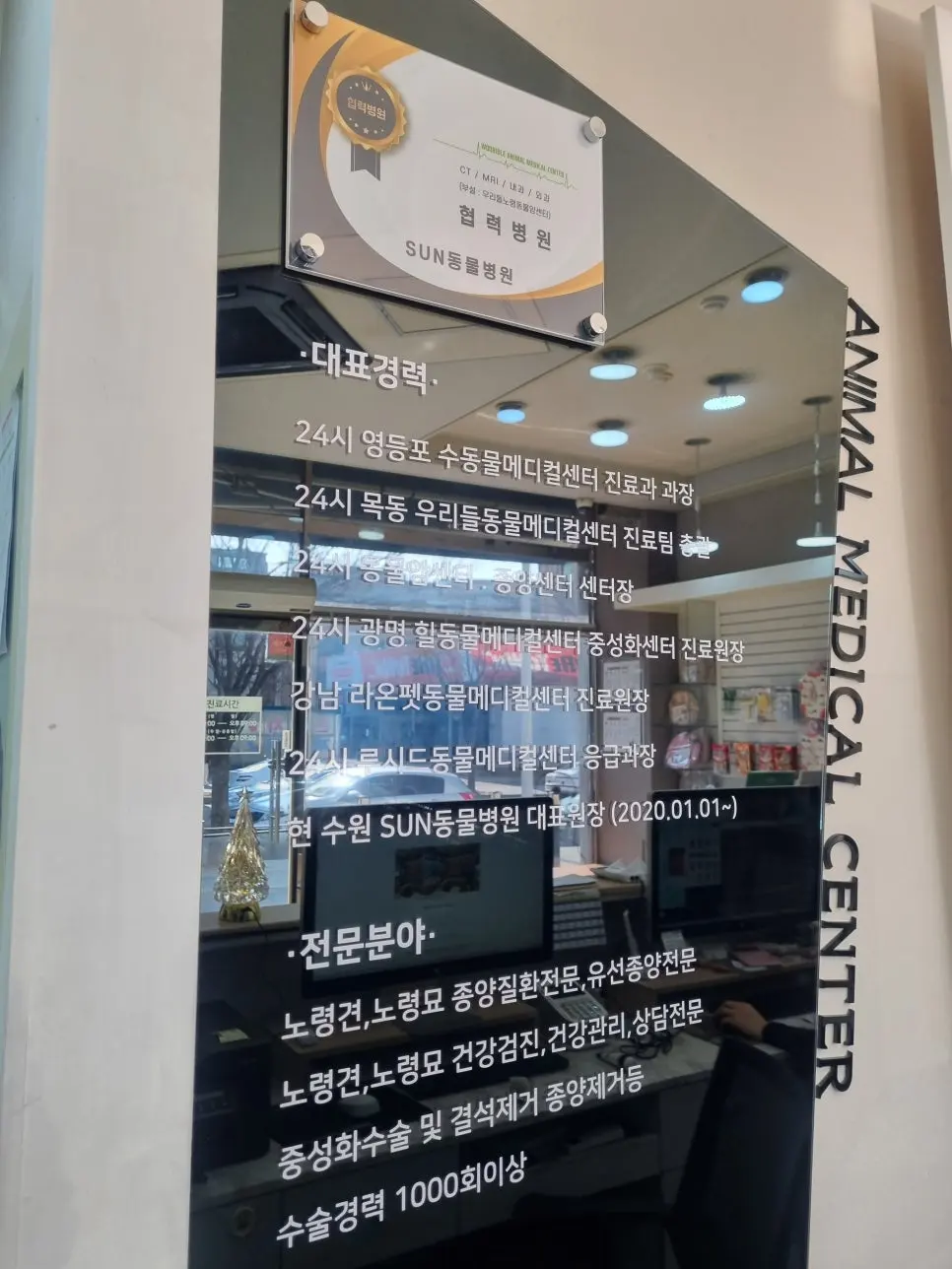 14살 고양이 유선종양 전적출 수술했어요
