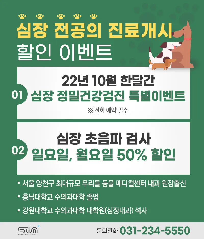 고양이유선종양 수술전문 동물병원에서 적절한 조치를