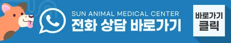 고양이유선종양 수술전문 동물병원에서 적절한 조치를