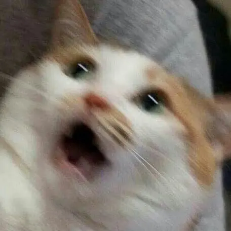 허버허버버버jpg