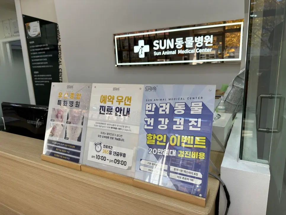 2세 행복이 고양이 중성화 수술