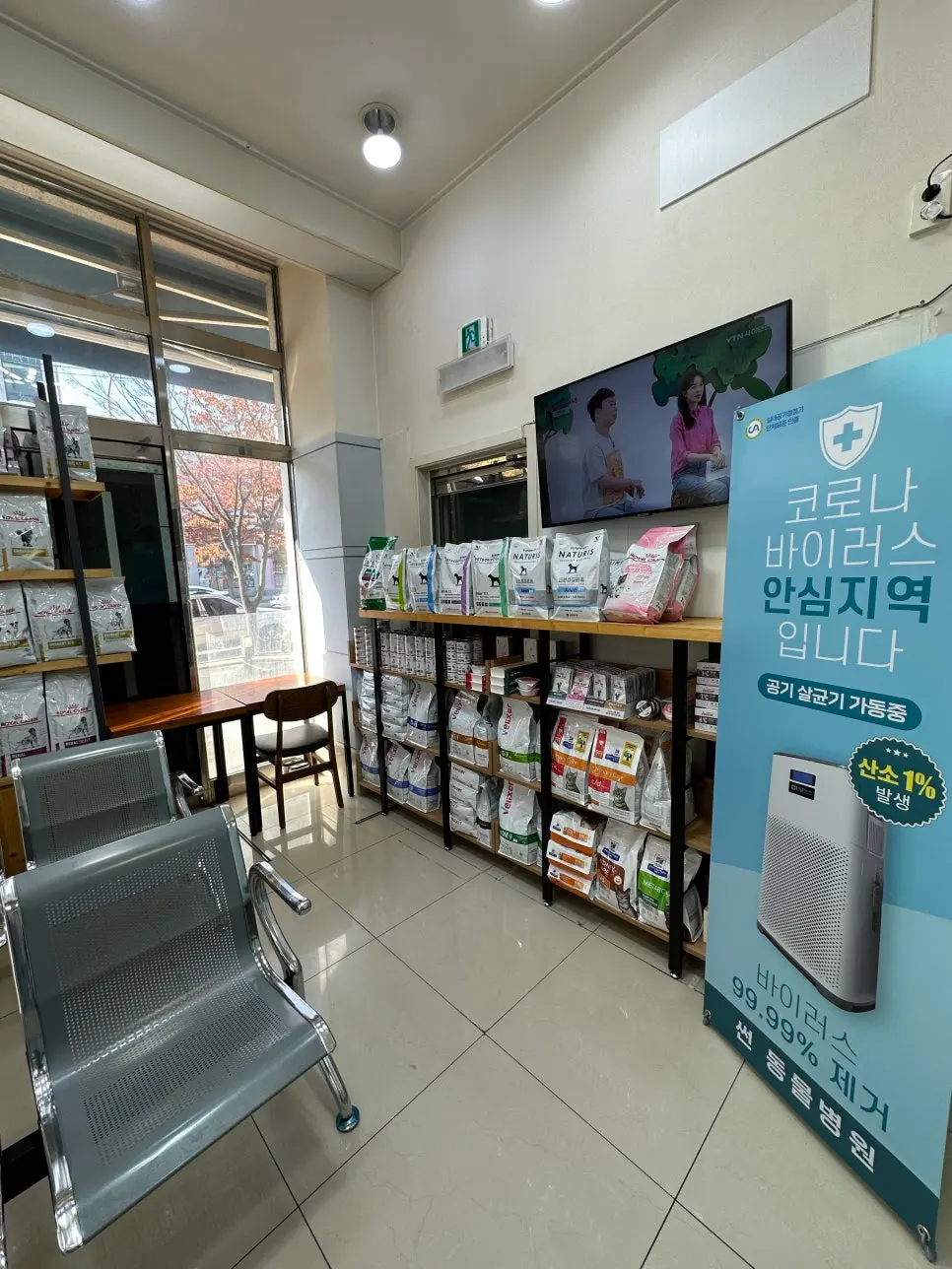 2세 행복이 고양이 중성화 수술