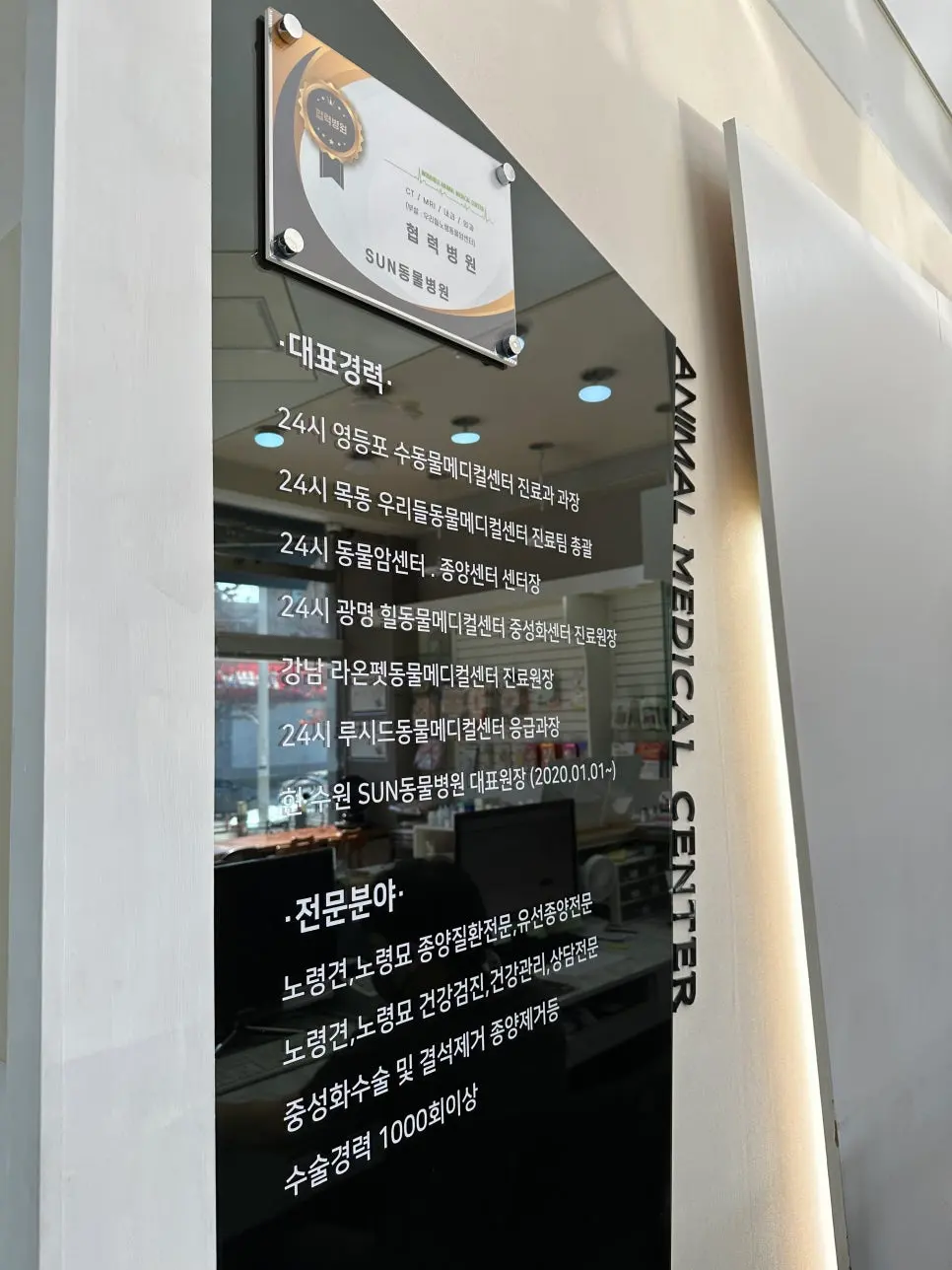 3살 메리 여자 고양이 중성화