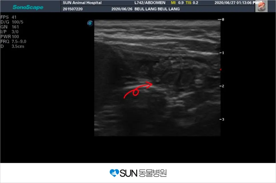 구조자님 칭찬합니다.jpg