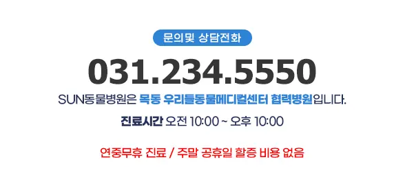 고양이 링 웜 (곰팡이성 피부염) 의심될 때!