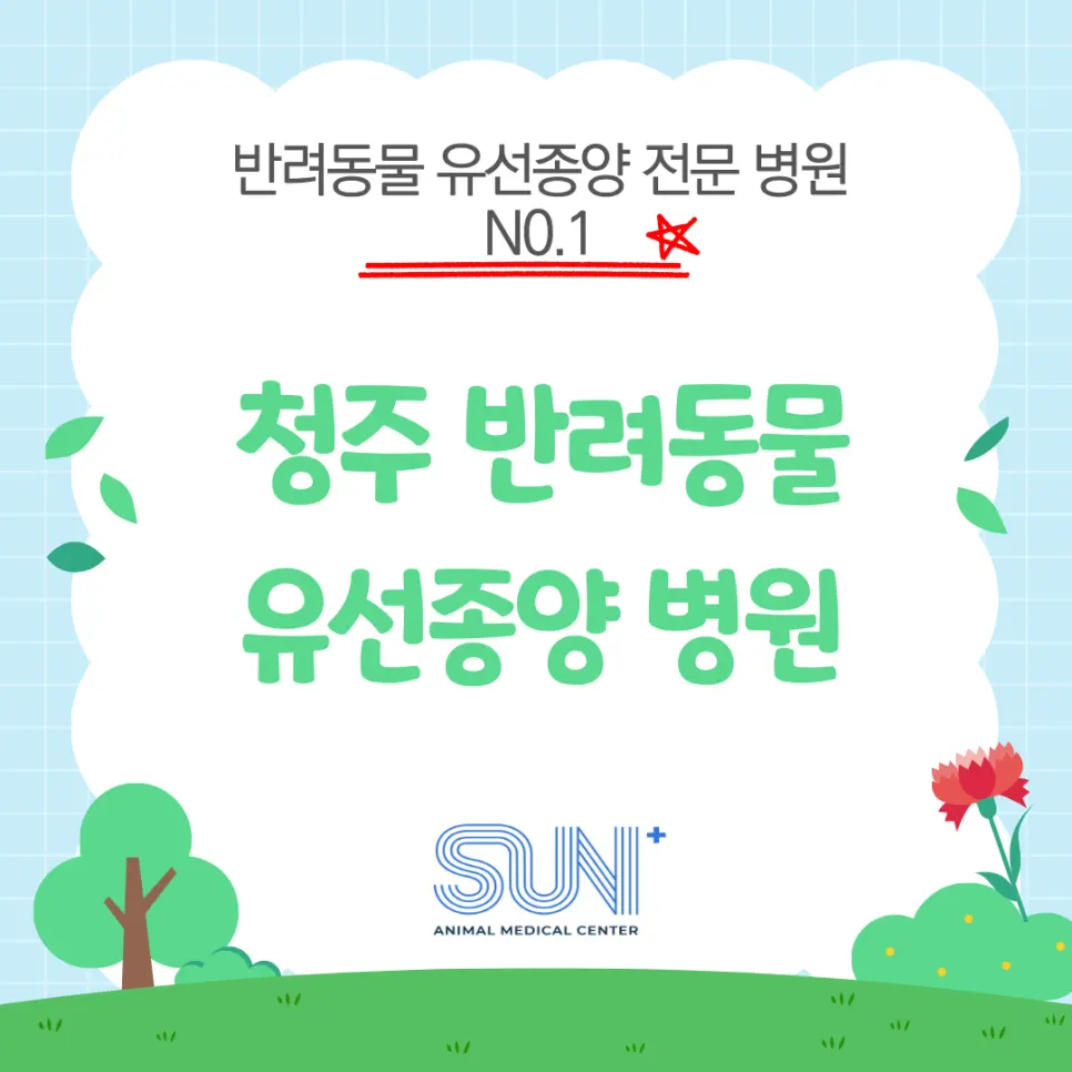 청주 유선종양 병원 사람들이 많이 찾는 이유