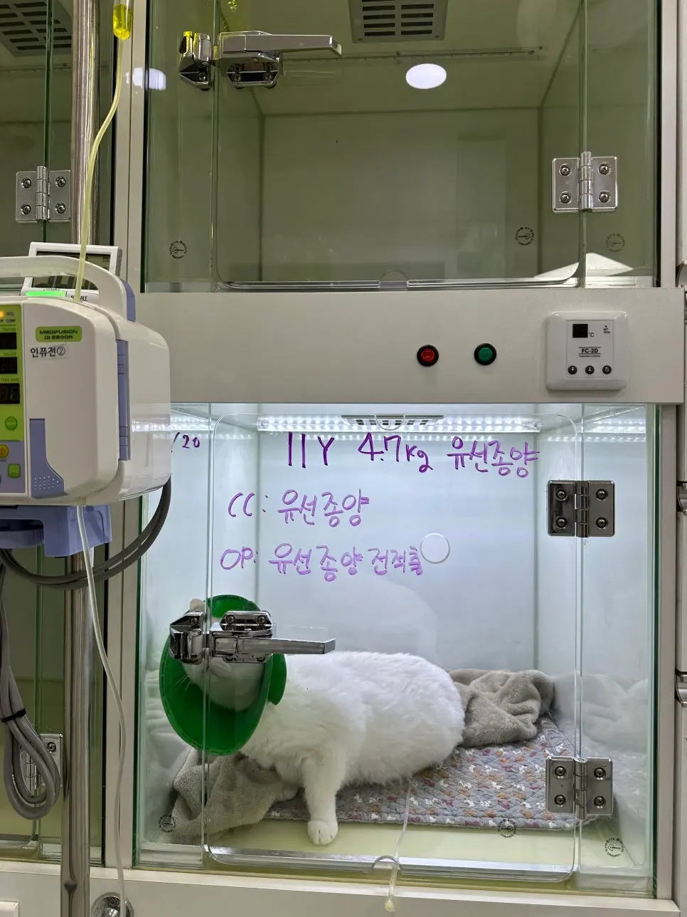 청주 유선종양 병원 사람들이 많이 찾는 이유