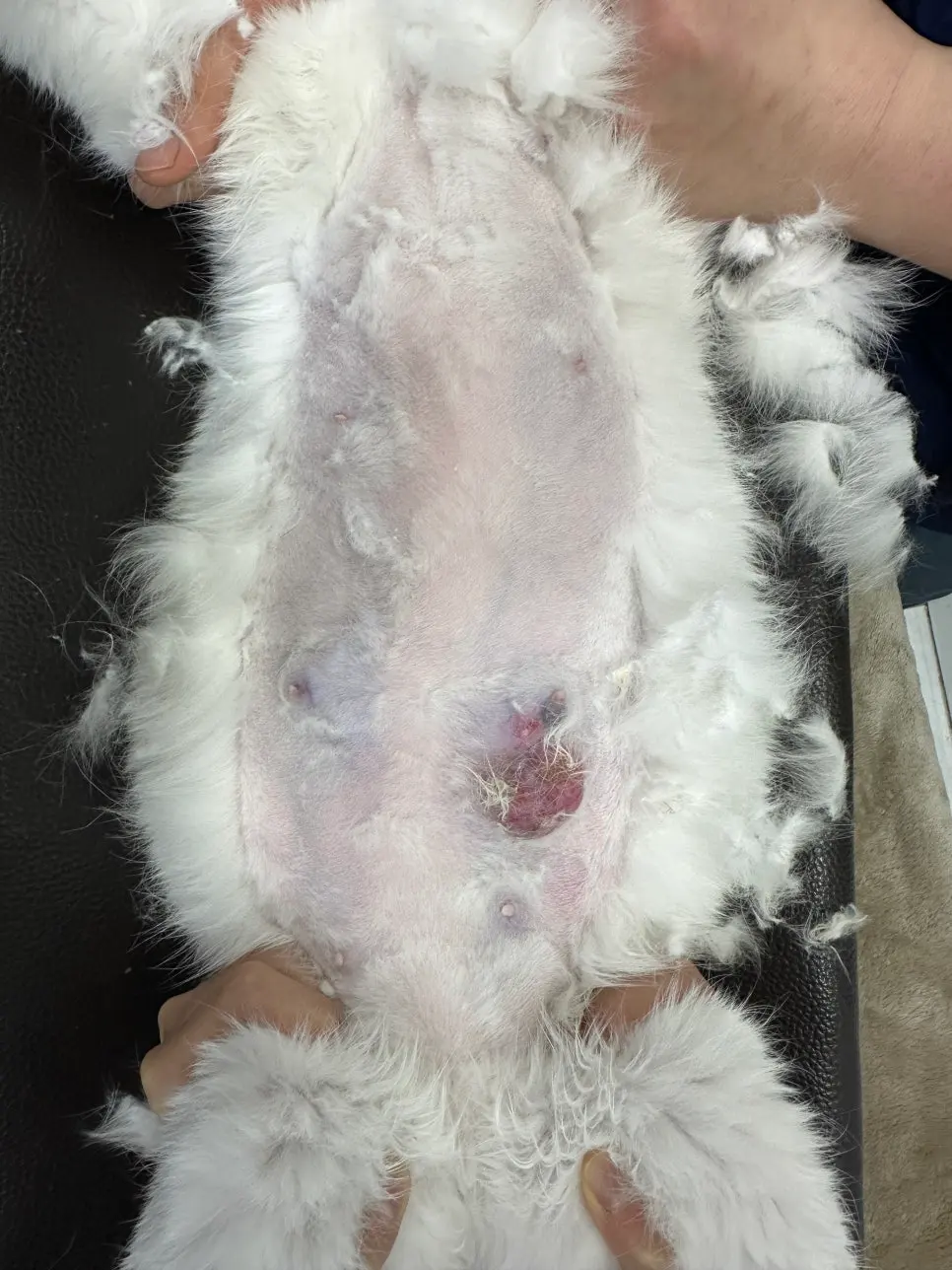 청주 유선종양 병원 사람들이 많이 찾는 이유