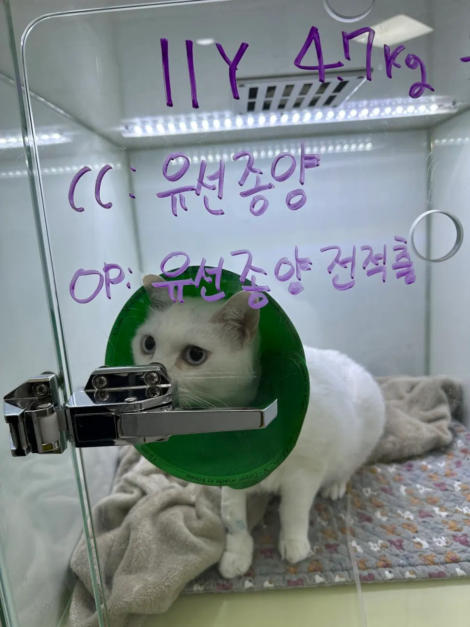 청주 유선종양 병원 사람들이 많이 찾는 이유