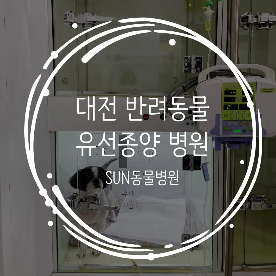 대전 반려동물 유선종양 병원 전국에서 오는 곳