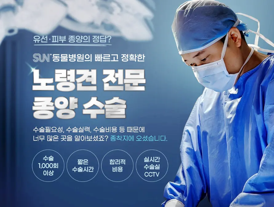대전 반려동물 유선종양 병원 전국에서 오는 곳
