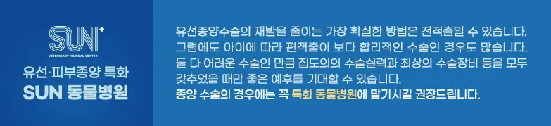 대전 반려동물 유선종양 병원 전국에서 오는 곳