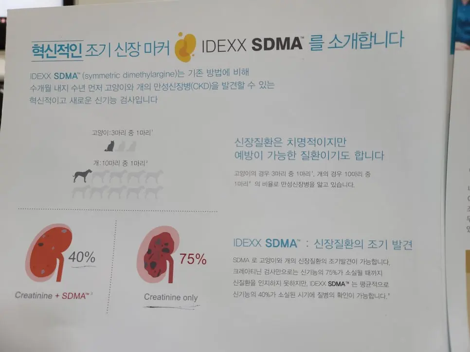 강아지, 고양이 건강검진