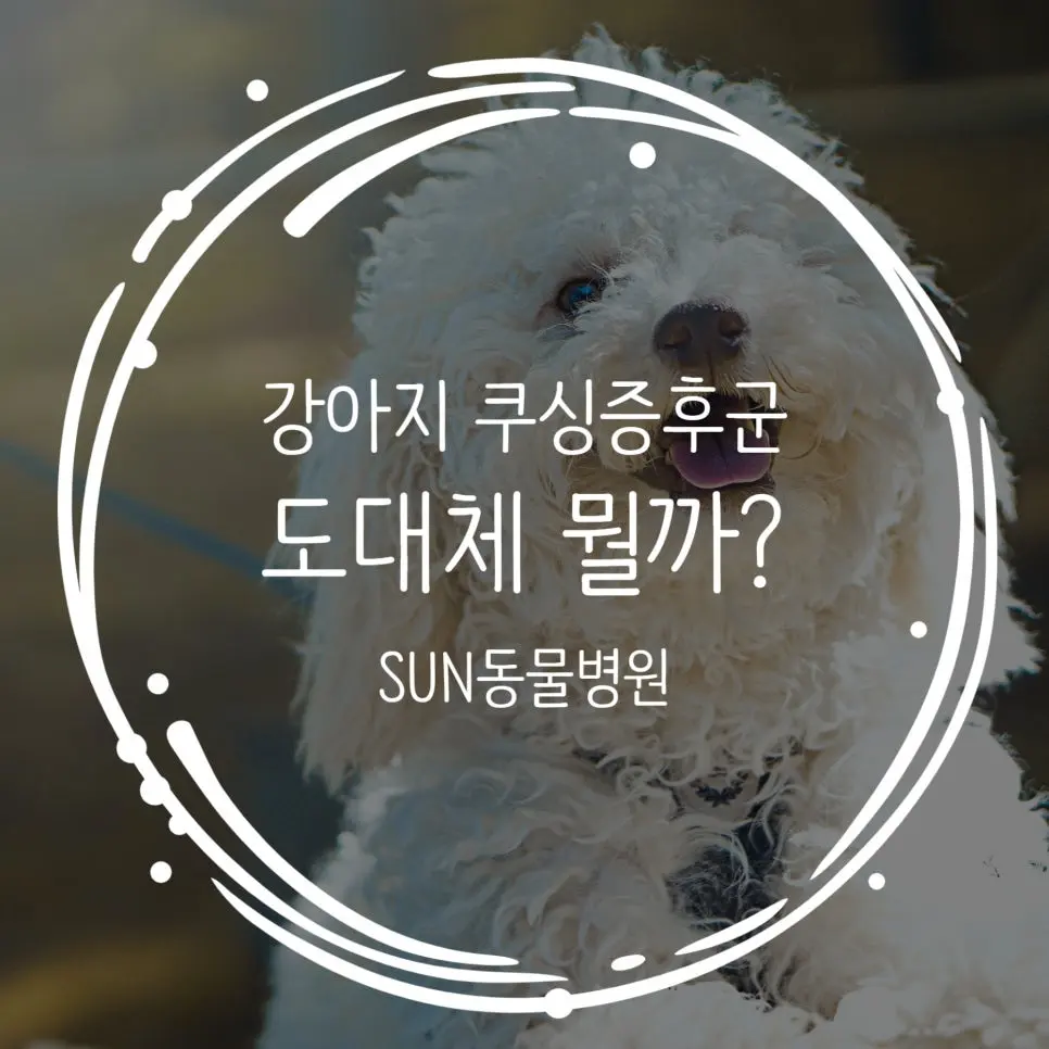 강아지 쿠싱 증후군, 조기 발견이 중요한 이유