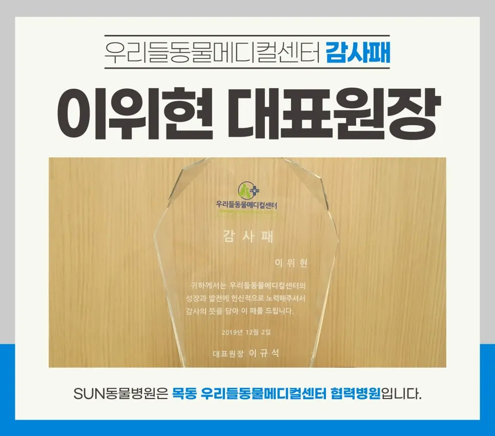 강아지 앞다리 피부 혹 제거 수술