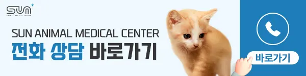 강아지하울링 교정하는 방법은?