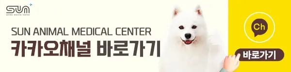 강아지하울링 교정하는 방법은?