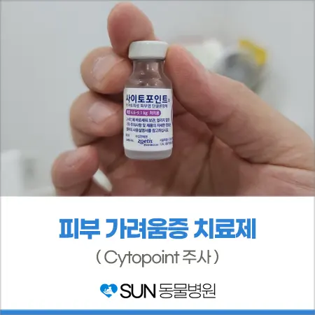 강아지 피부 가려움증 치료제 cytopoint 주사