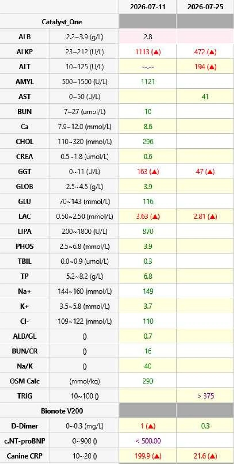 실제 검사 장비 출력값 — 왼쪽이 수술 전(7월 11일), 오른쪽이 재검(7월 25일)입니다.