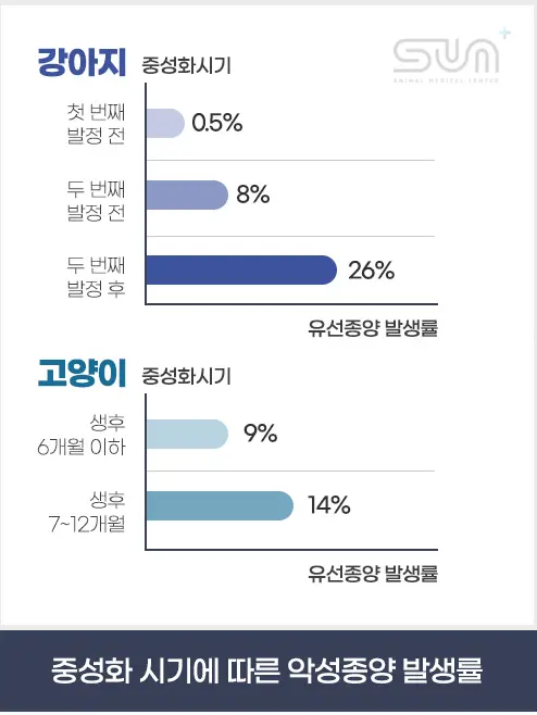 11살 강아지 유선종양 전체 적출 ,중성화 수술 했어요