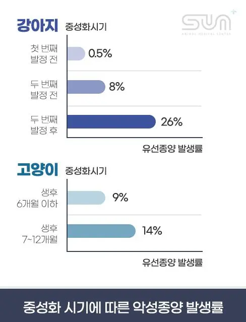 11살 강아지 유선 종양 전체적출,중성화 했어요.