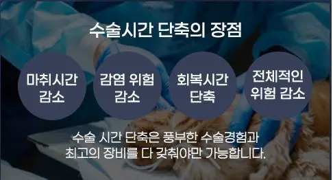 11살 강아지 유선 종양 전체적출,중성화 했어요.