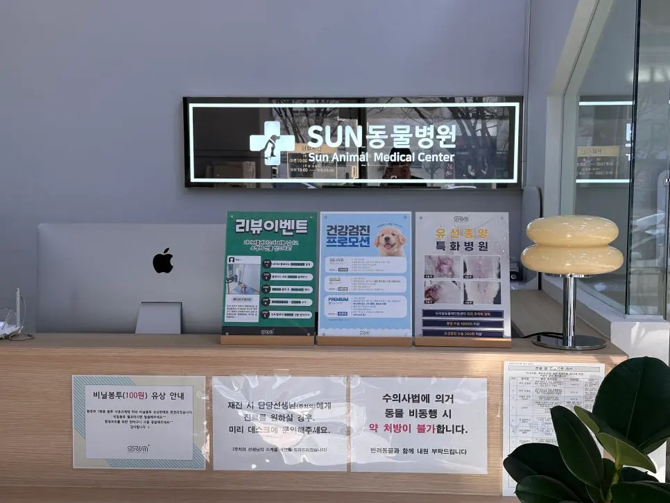 12살 강아지 유선종양 전적출, 중성화 수술했어요