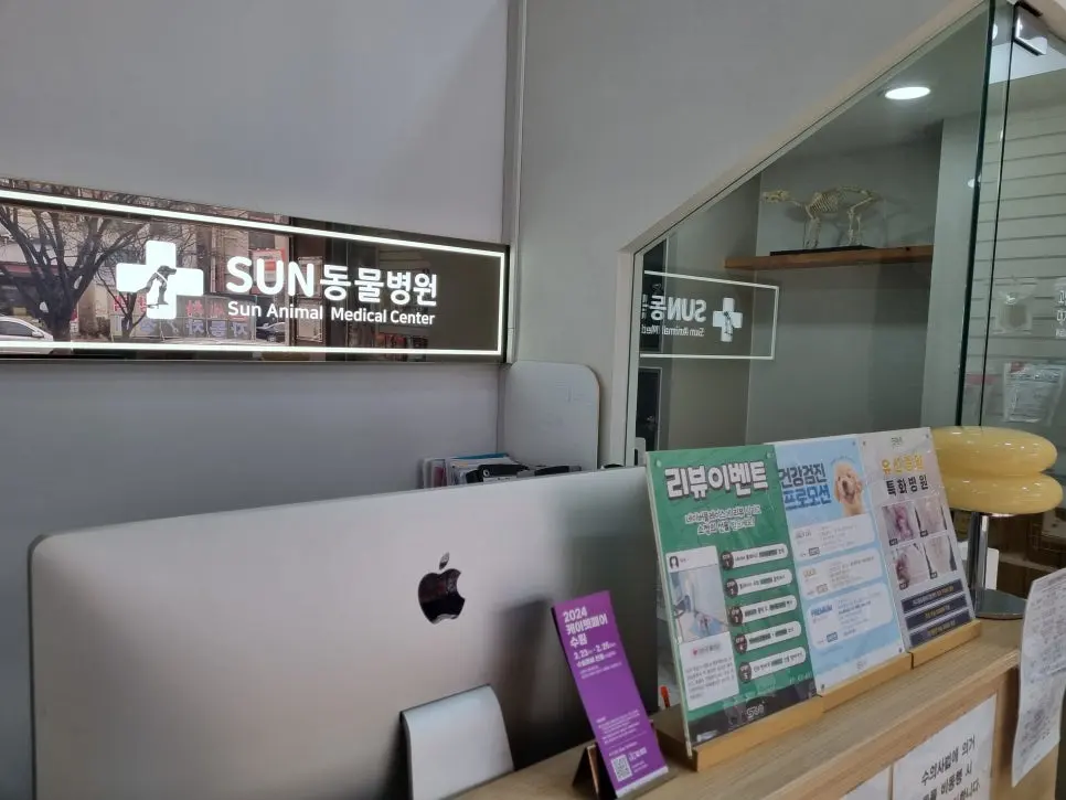 13살 강아지 유선종양 전적출, 중성화 수술했어요