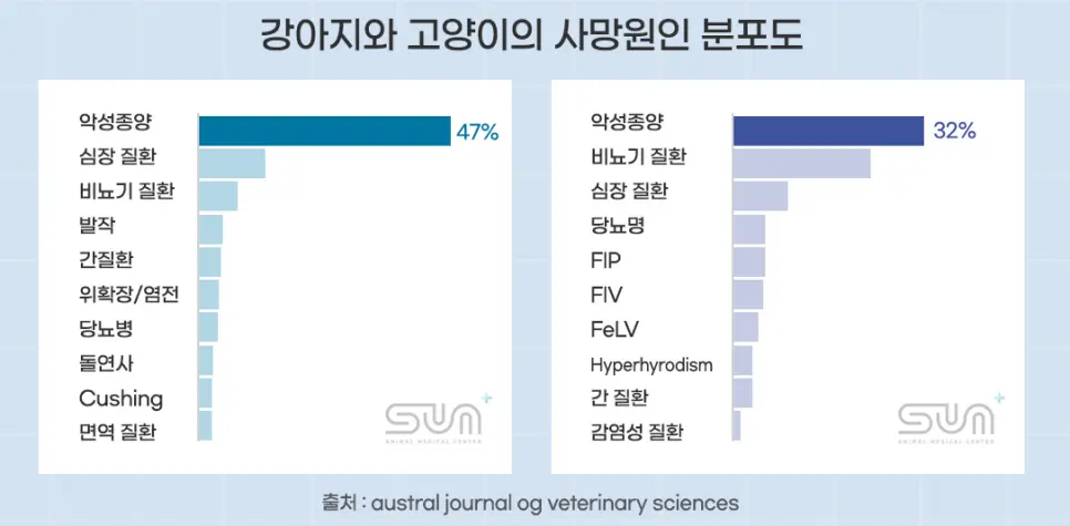 13살 강아지 유선종양 전적출, 중성화 수술했어요