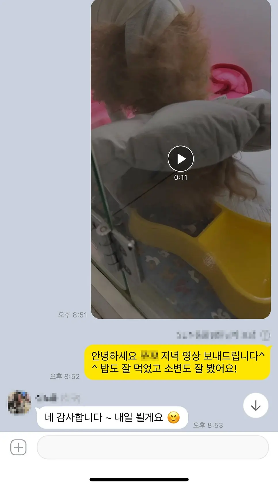 13살 강아지 유선종양 전체적출 ,중성화 수술 했어요