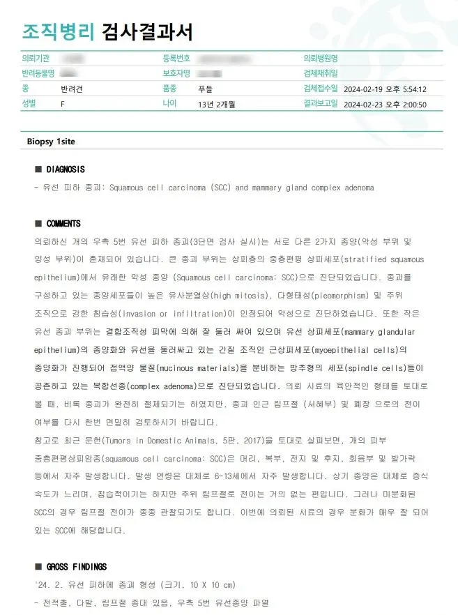 Squamous cell cacinoma -> 피부 자체 악성종양 +Mammary gland complex adenoma -> 유선선종 (양성)
