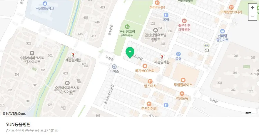 13살 강아지 유선종양 전체적출 ,중성화 수술 했어요