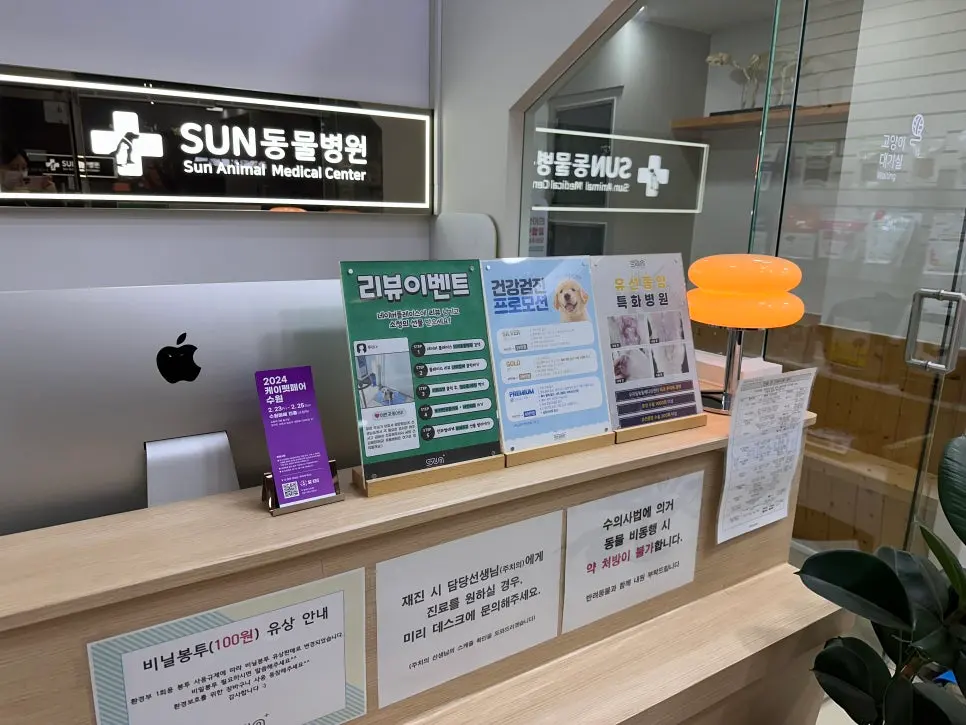 6살 강아지 유선종양 전체적 적출 수술, 중성화 수술했어요