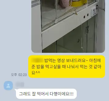 6살 강아지 유선종양 전체적 적출 수술, 중성화 수술했어요