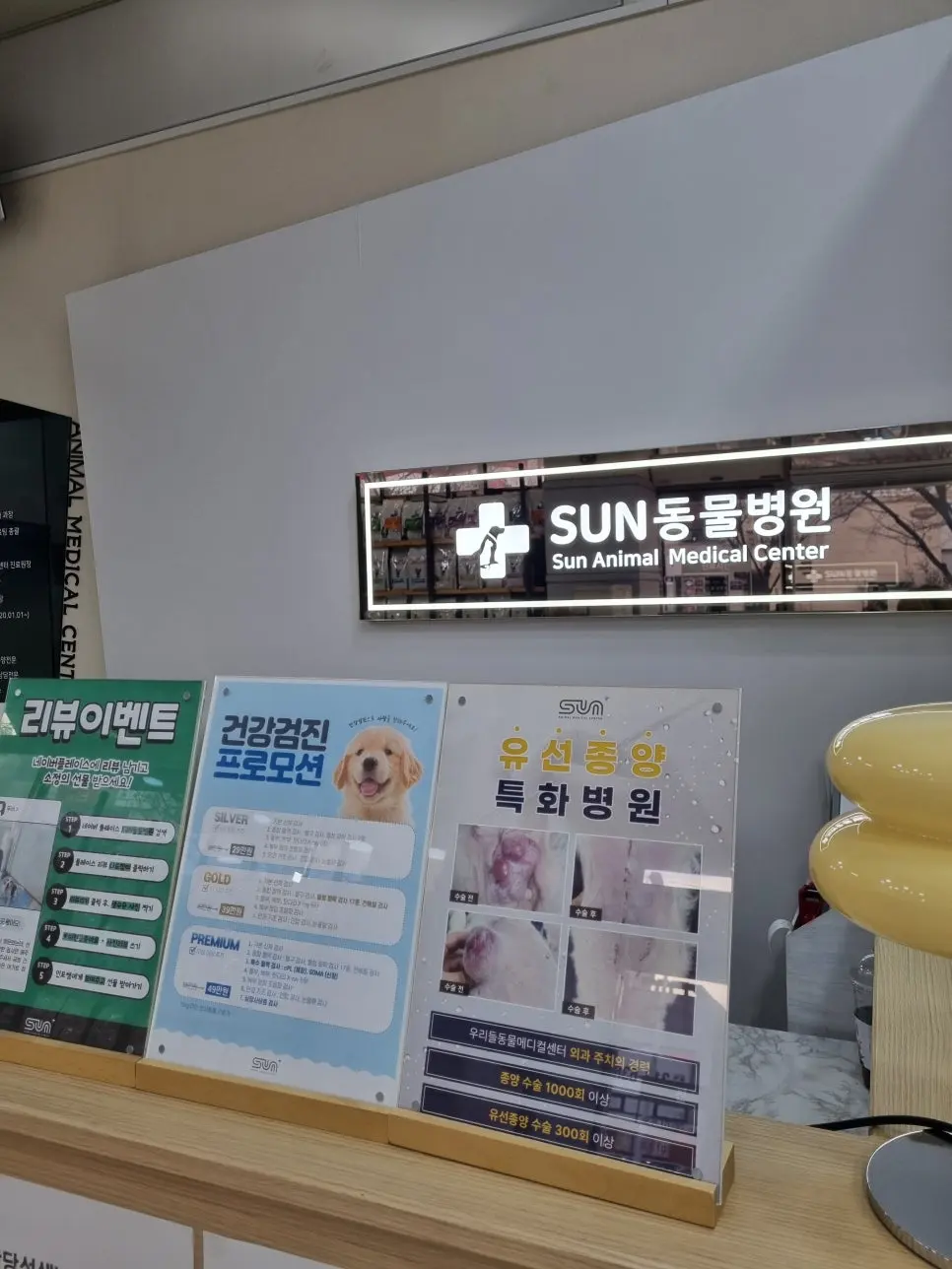 8살 강아지 유선종양 전적출, 중성화 수술했어요