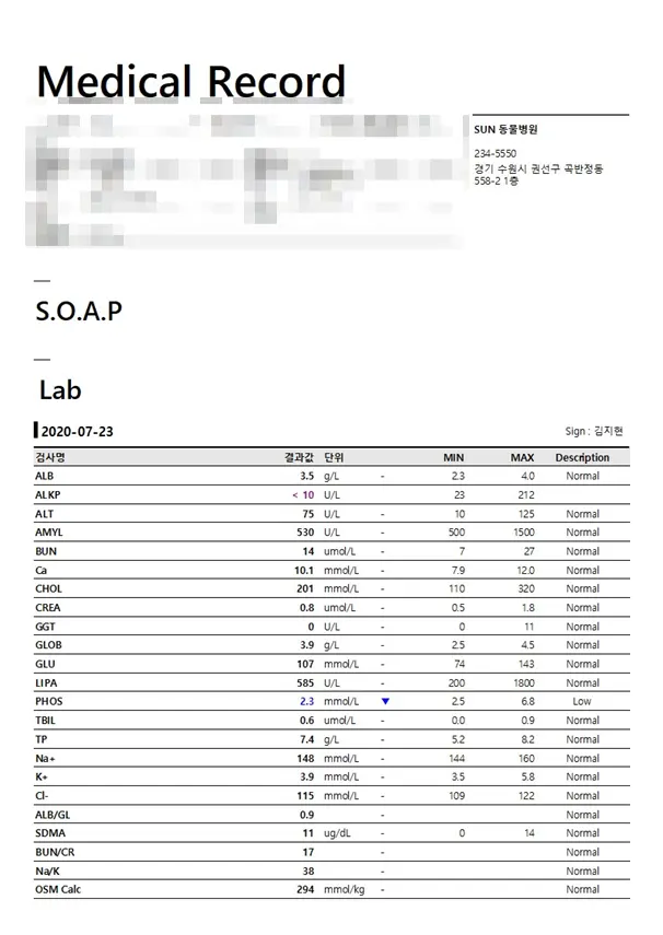다섯 살 난이의 유선종괴수술 이야기