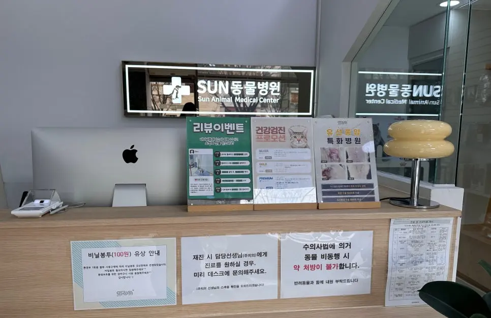 11살 강아지 유선종양 전체적출, 중성화 수술, 서혜부 탈장 수술했어요