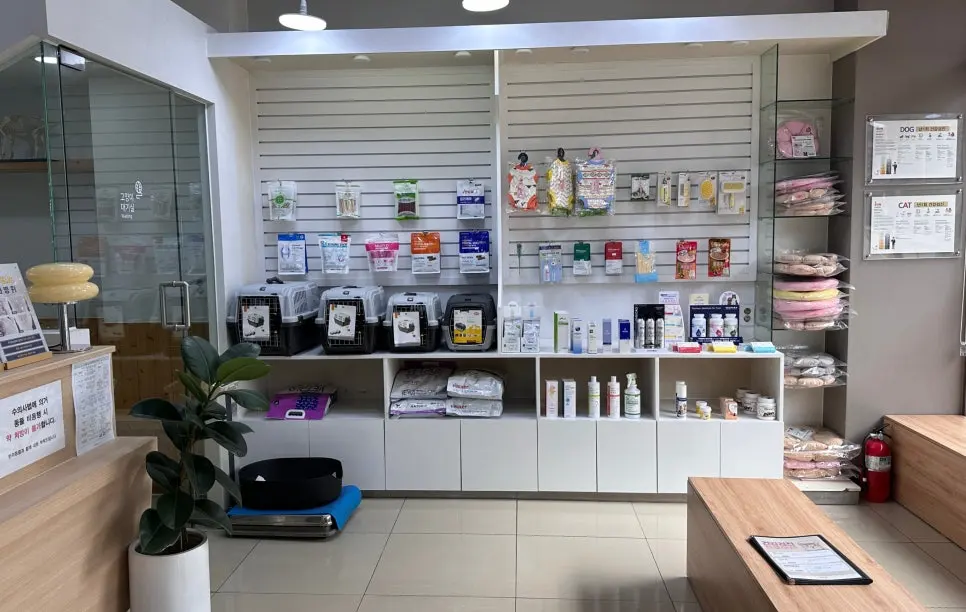 11살 강아지 유선종양 전체적출, 중성화 수술, 서혜부 탈장 수술했어요
