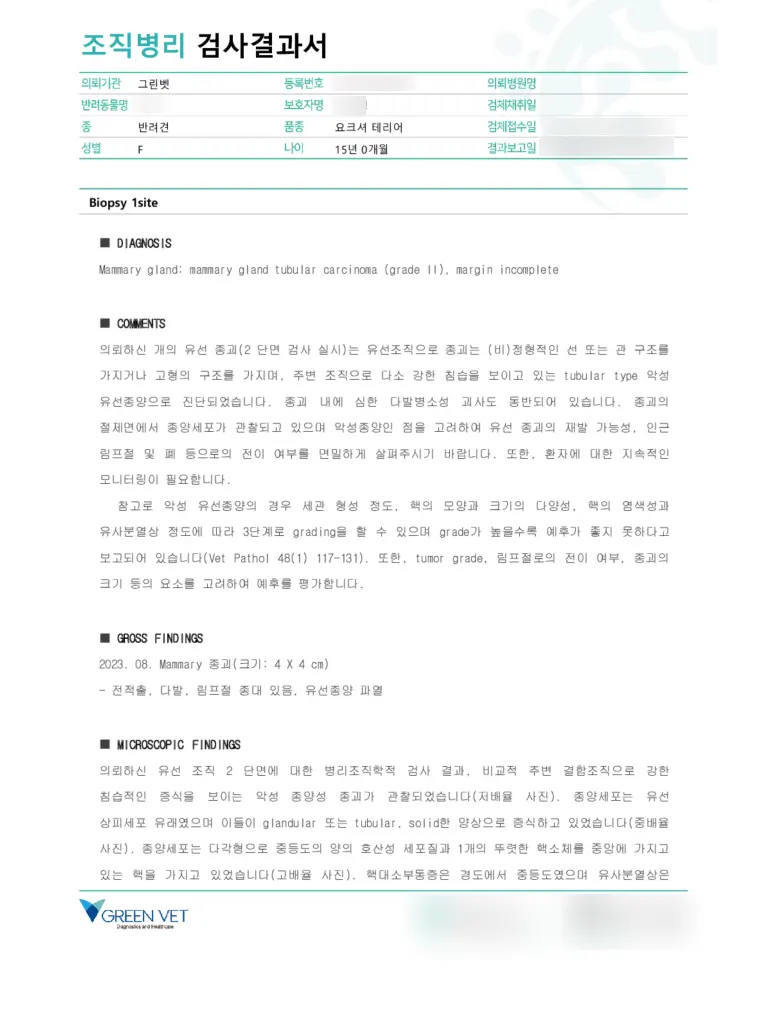 15살 강아지 유선종양 전체 적출 수술, 중성화 수술, 옆구리 지방종 제거 수술했어요