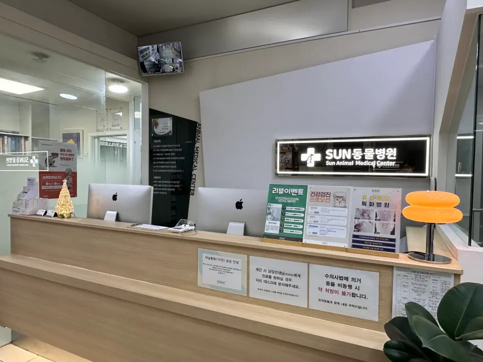 15살 강아지 유선종양 전체 적출 수술, 중성화 수술, 옆구리 지방종 제거 수술했어요