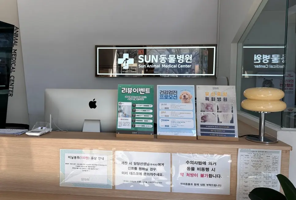 8살 강아지 유선 전체 적출 수술, 중성화 수술, 목뒤 종괴 제거 수술했어요