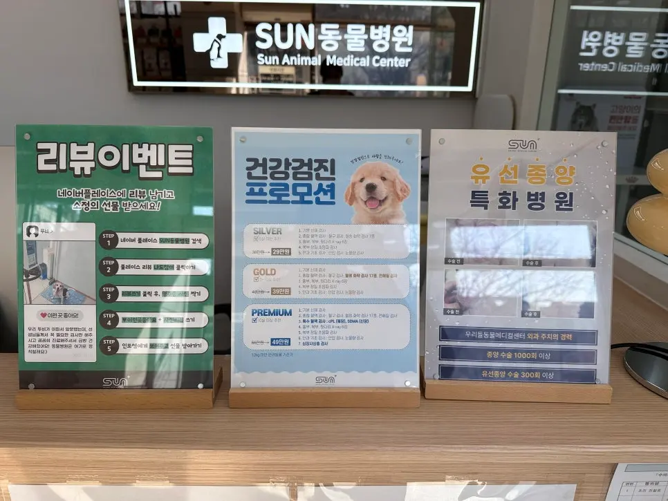 8살 강아지 유선 전체 적출 수술, 중성화 수술, 목뒤 종괴 제거 수술했어요