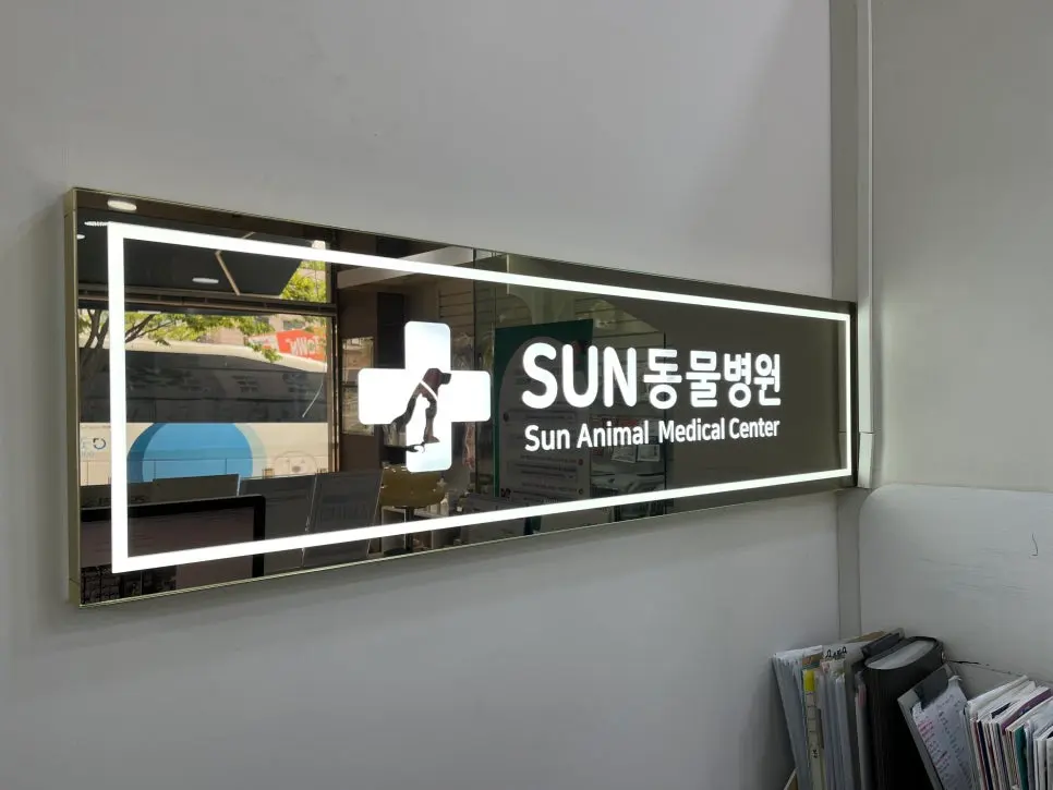 12살 강아지 유선 종양 전체 적출,중성화 수술,스케일링 했어요 (두 번째 사례)