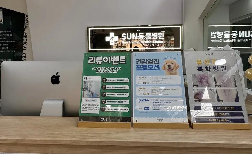 12살 강아지 유선종양 전체 적출 수술, 중성화 수술, 스케일링했어요